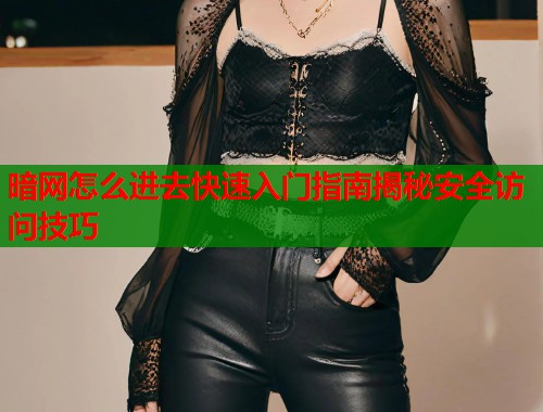 暗网怎么进去快速入门指南揭秘安全访问技巧  第1张