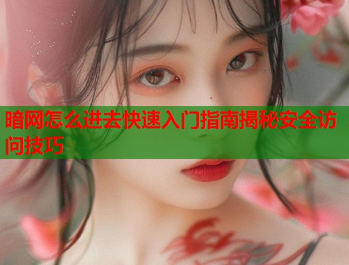 暗网怎么进去快速入门指南揭秘安全访问技巧  第2张