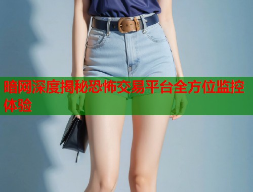 暗网深度揭秘恐怖交易平台全方位监控体验  第1张