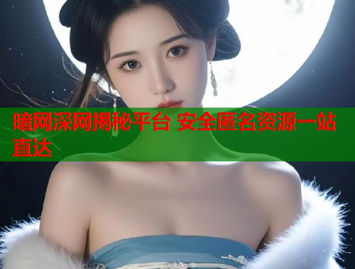 暗网深网揭秘平台 安全匿名资源一站直达  第2张