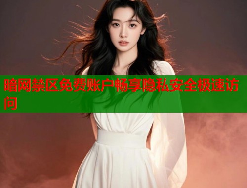暗网禁区免费账户畅享隐私安全极速访问  第2张