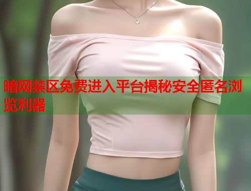 暗网禁区免费进入平台揭秘安全匿名浏览利器  第2张