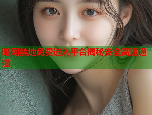 暗网禁地免费进入平台揭秘安全高速通道  第1张