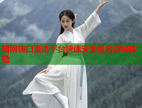 暗网端口直达平台快速安全匿名访问体验  第1张