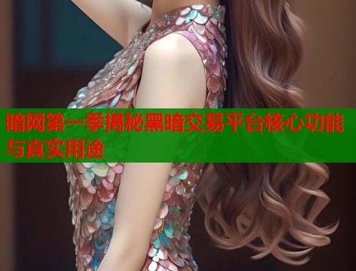 暗网第一季揭秘黑暗交易平台核心功能与真实用途  第1张