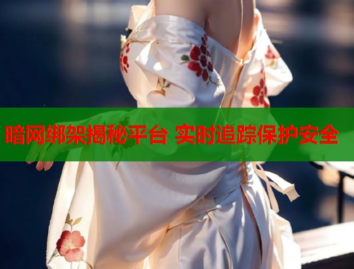 暗网绑架揭秘平台 实时追踪保护安全  第1张