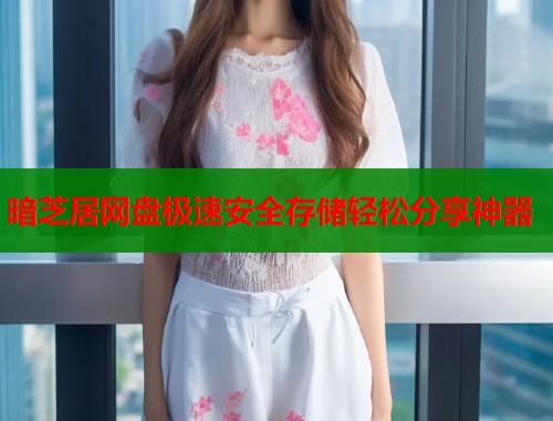 暗芝居网盘极速安全存储轻松分享神器  第1张