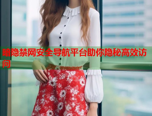 暗隐禁网安全导航平台助你隐秘高效访问  第1张