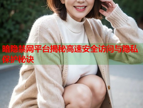 暗隐禁网平台揭秘高速安全访问与隐私保护秘诀  第1张