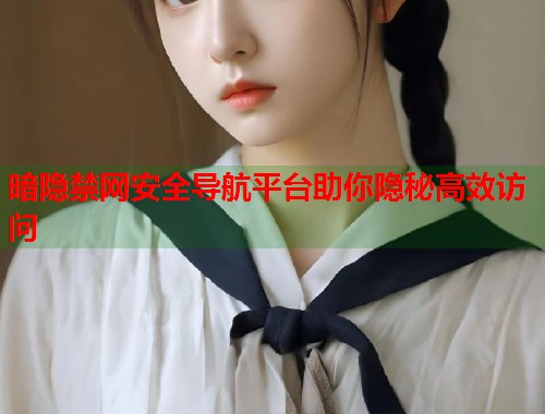 暗隐禁网安全导航平台助你隐秘高效访问  第2张