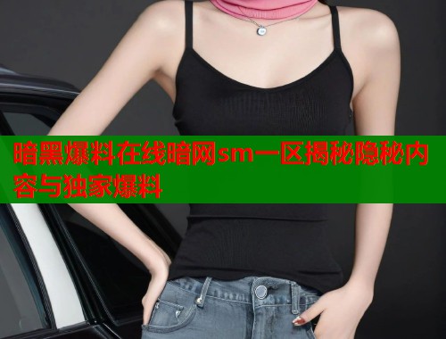 暗黑爆料在线暗网sm一区揭秘隐秘内容与独家爆料  第1张