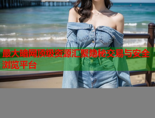 最大暗网顶级资源汇聚隐秘交易与安全浏览平台  第1张