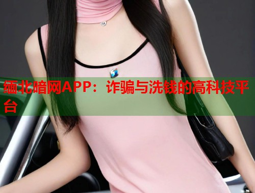 缅北暗网APP：诈骗与洗钱的高科技平台  第1张