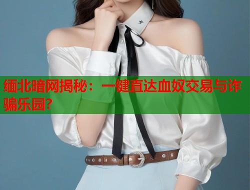 缅北暗网揭秘：一键直达血奴交易与诈骗乐园？  第1张