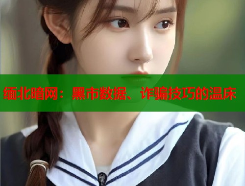 缅北暗网：黑市数据、诈骗技巧的温床  第1张