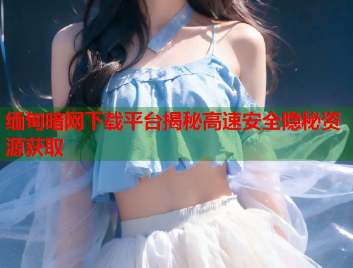 缅甸暗网下载平台揭秘高速安全隐秘资源获取  第2张
