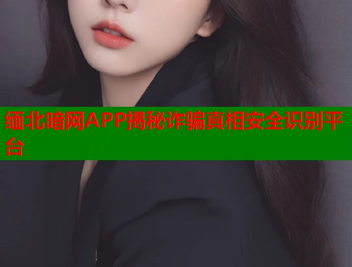 缅北暗网APP揭秘诈骗真相安全识别平台  第1张