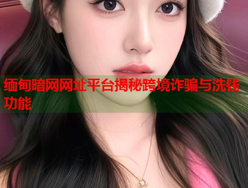 缅甸暗网网址平台揭秘跨境诈骗与洗钱功能  第1张