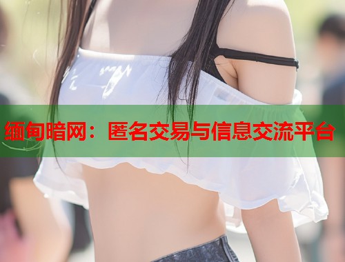 缅甸暗网：匿名交易与信息交流平台  第1张