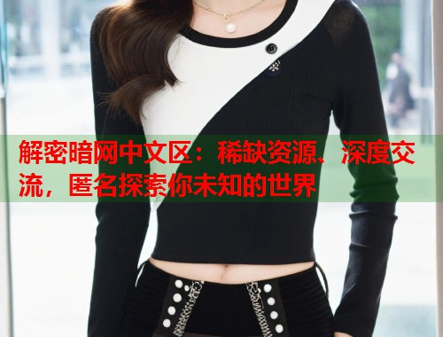 解密暗网中文区：稀缺资源、深度交流，匿名探索你未知的世界  第2张