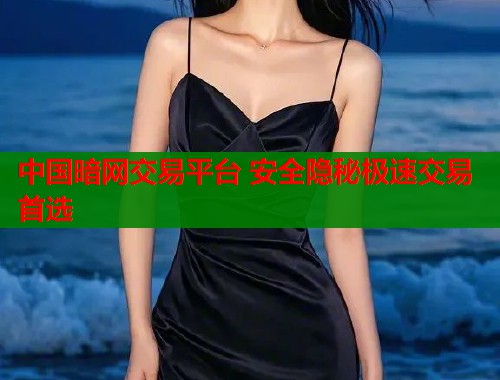 中国暗网交易平台 安全隐秘极速交易首选  第1张