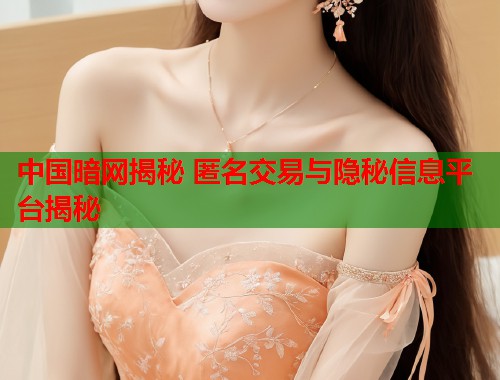 中国暗网揭秘 匿名交易与隐秘信息平台揭秘  第1张