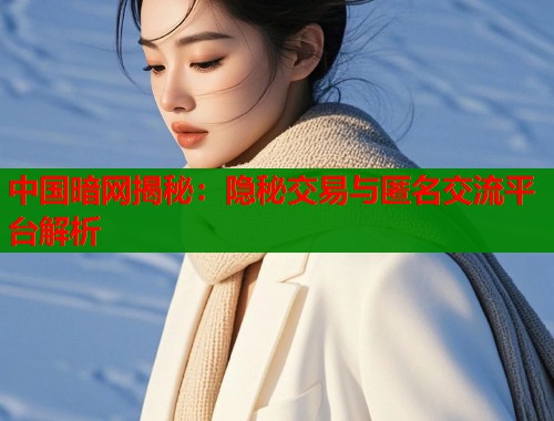 中国暗网揭秘：隐秘交易与匿名交流平台解析  第2张