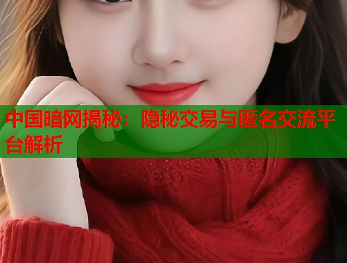 中国暗网揭秘：隐秘交易与匿名交流平台解析  第1张