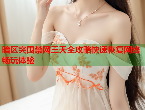 暗区突围禁网三天全攻略快速恢复网络畅玩体验  第1张