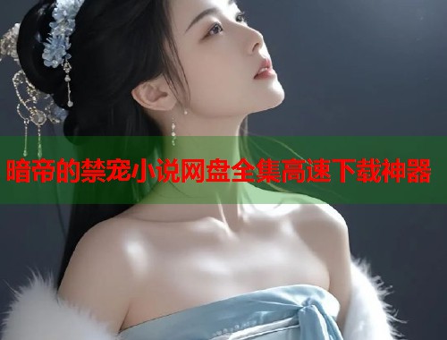暗帝的禁宠小说网盘全集高速下载神器  第1张