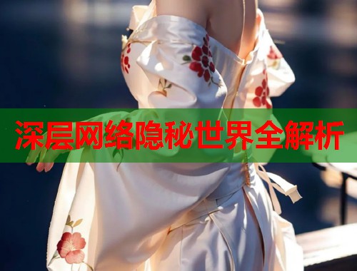  深层网络隐秘世界全解析 第2张