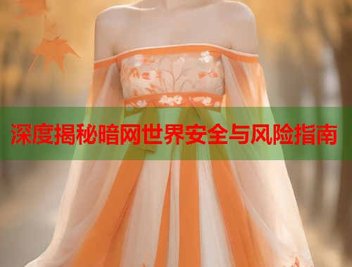  深度揭秘暗网世界安全与风险指南 第2张