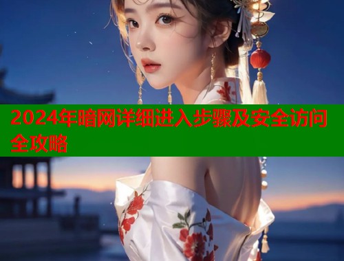 2024年暗网详细进入步骤及安全访问全攻略  第1张