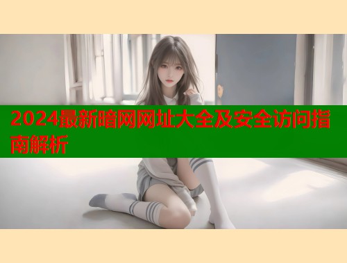 2024最新暗网网址大全及安全访问指南解析  第1张