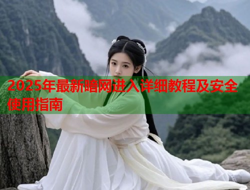 2025年最新暗网进入详细教程及安全使用指南  第1张