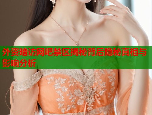外资暗访网吧禁区揭秘背后隐秘真相与影响分析  第1张
