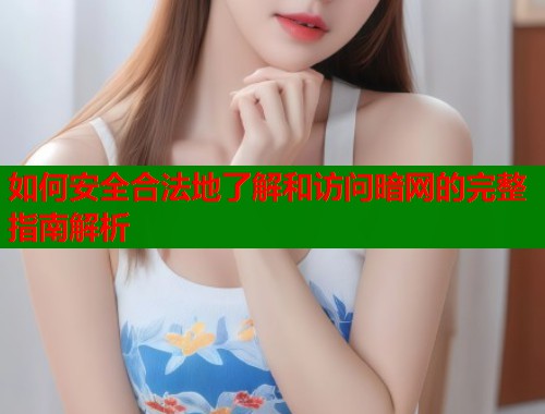 如何安全合法地了解和访问暗网的完整指南解析  第1张