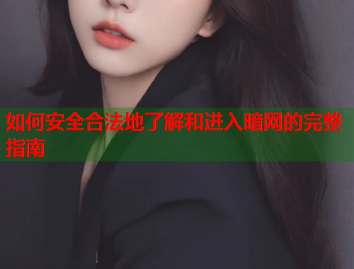 如何安全合法地了解和进入暗网的完整指南  第1张