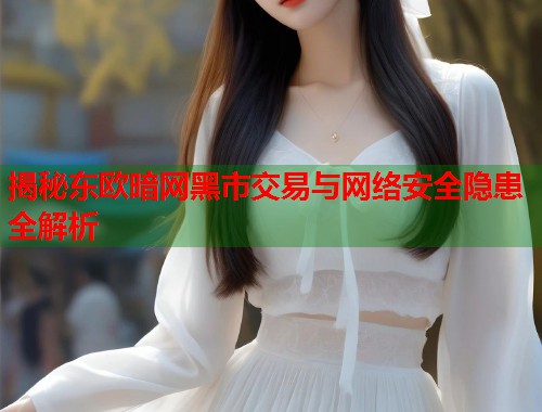 揭秘东欧暗网黑市交易与网络安全隐患全解析  第1张