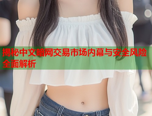 揭秘中文暗网交易市场内幕与安全风险全面解析  第2张