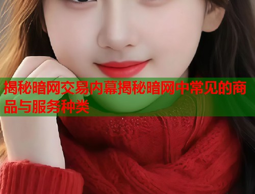 揭秘暗网交易内幕揭秘暗网中常见的商品与服务种类  第1张