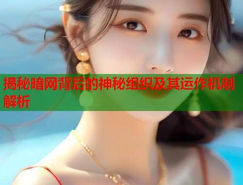 揭秘暗网背后的神秘组织及其运作机制解析  第1张