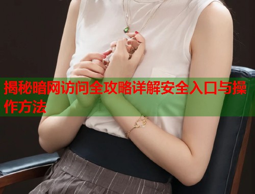 揭秘暗网访问全攻略详解安全入口与操作方法  第1张