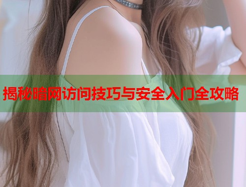 揭秘暗网访问技巧与安全入门全攻略  第1张