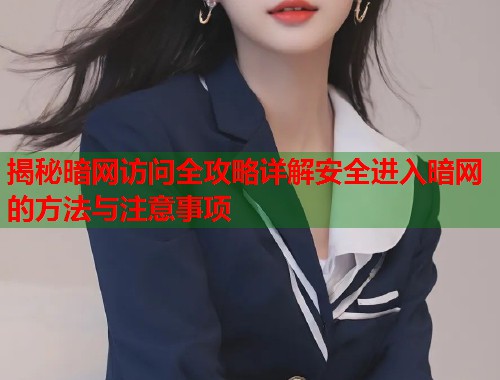 揭秘暗网访问全攻略详解安全进入暗网的方法与注意事项  第2张