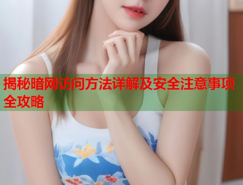 揭秘暗网访问方法详解及安全注意事项全攻略  第1张