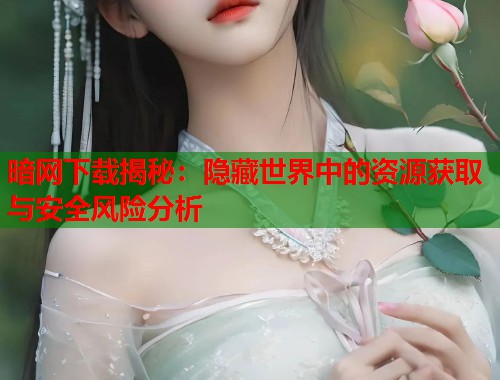 暗网下载揭秘：隐藏世界中的资源获取与安全风险分析  第1张