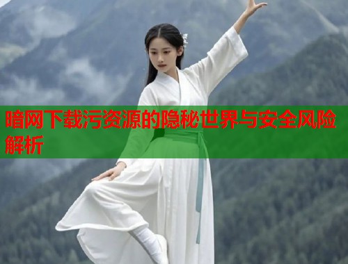 暗网下载污资源的隐秘世界与安全风险解析  第2张