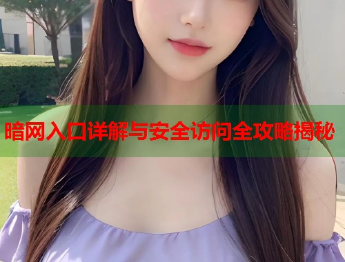 暗网入口详解与安全访问全攻略揭秘  第2张