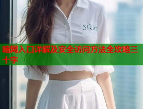 暗网入口详解及安全访问方法全攻略三十字  第1张